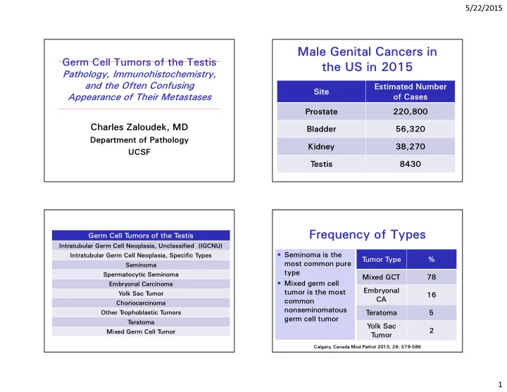 male genital cancers in