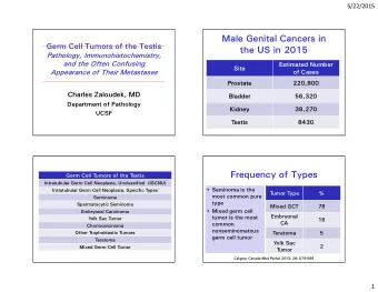 Male Genital Cancers in  Germ Cell Tumors of the Testis  the US in 2015  Pathology,