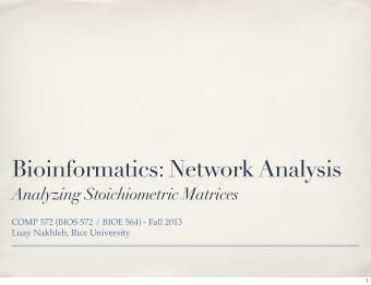 Bioinformatics: Network Analysis  Analyzing Stoichiometric Matrices  COMP 572 (BIOS 572 / BIOE 564)