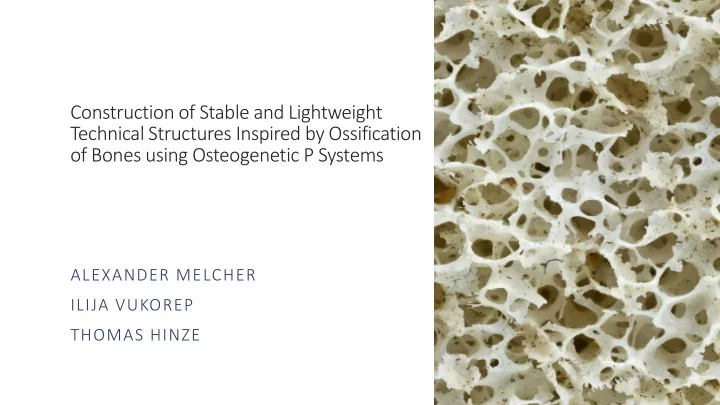 construction of stable and lightweight technical