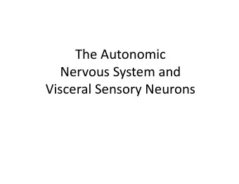 The Autonomic Nervous System and Visceral Sensory Neurons The Autonomic Nervous System and Visceral