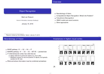 Overview  Object Recognition  Neurobiology of Vision  Computational Object Recognition: Whats
