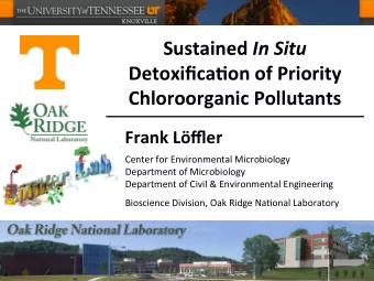 Sustained In Situ DetoxificaTon of Priority Chloroorganic Pollutants Frank Lffler Center for