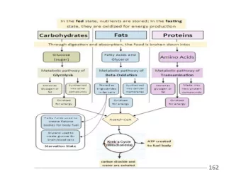 162  163  Si  Sit/St  t/Stand and  Assessm  Assessmen  ent 5x sit/stand test 60  69 y/o 11.4 sec