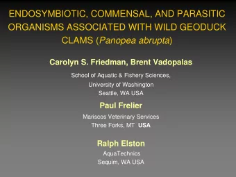 ENDOSYMBIOTIC, COMMENSAL, AND PARASITIC  ORGANISMS ASSOCIATED WITH WILD GEODUCK CLAMS ( Panopea