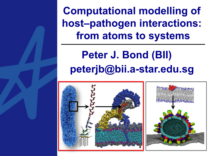 computational modelling of host pathogen interactions
