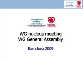 WG General Assembly  Barcelona 2009  Overview of past-activities  ESC annual meeting Munich 2008
