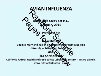 R  a  P  n  d  a  AAAP Slide Study Set # 31  o  g  February 2011  m  e  s  Prepared by:  S  f  o  a