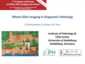 Whole Slide Imaging in Diagnostic Pathology P. Schirmacher, N. Grabe, H.P. Sinn  Institute of