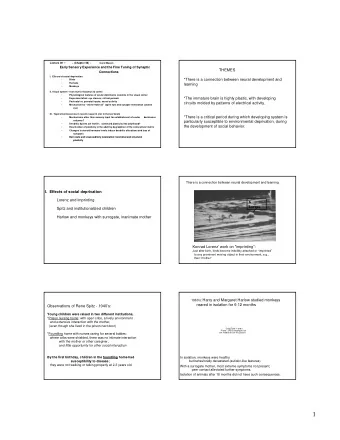 1  The role of early experience in human  *A critical period is a limited developmental period when