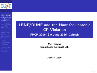 LBNF/DUNE and the Hunt for Leptonic  Brookhaven  National Lab  CP Violation  Introduction  FPCP