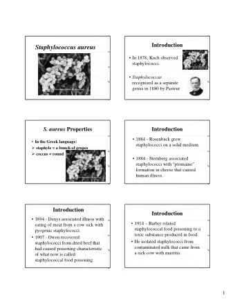 Staphylococcus aureus   In 1878, Koch observed  staphylococci.  Staphylococcus  recognized as