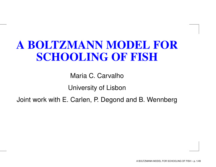 a boltzmann model for schooling of fish