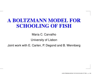 A BOLTZMANN MODEL FOR  SCHOOLING OF FISH  Maria C. Carvalho  University of Lisbon  Joint work with