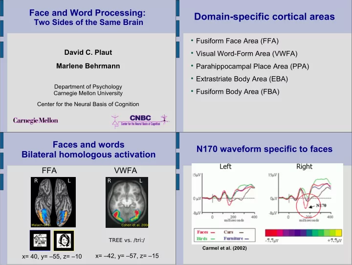 domain specific cortical areas