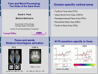 domain specific cortical areas