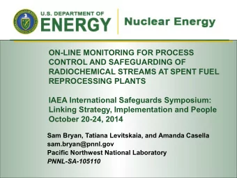 ON-LINE MONITORING FOR PROCESS  CONTROL AND SAFEGUARDING OF  RADIOCHEMICAL STREAMS AT SPENT FUEL