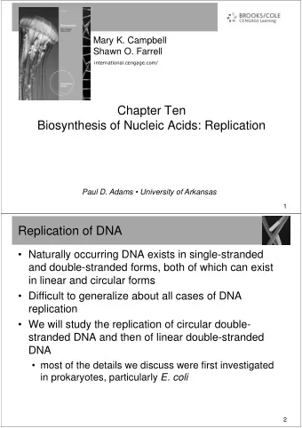 Chapter Ten  Biosynthesis of Nucleic Acids: Replication  Paul D. Adams  University of Arkansas