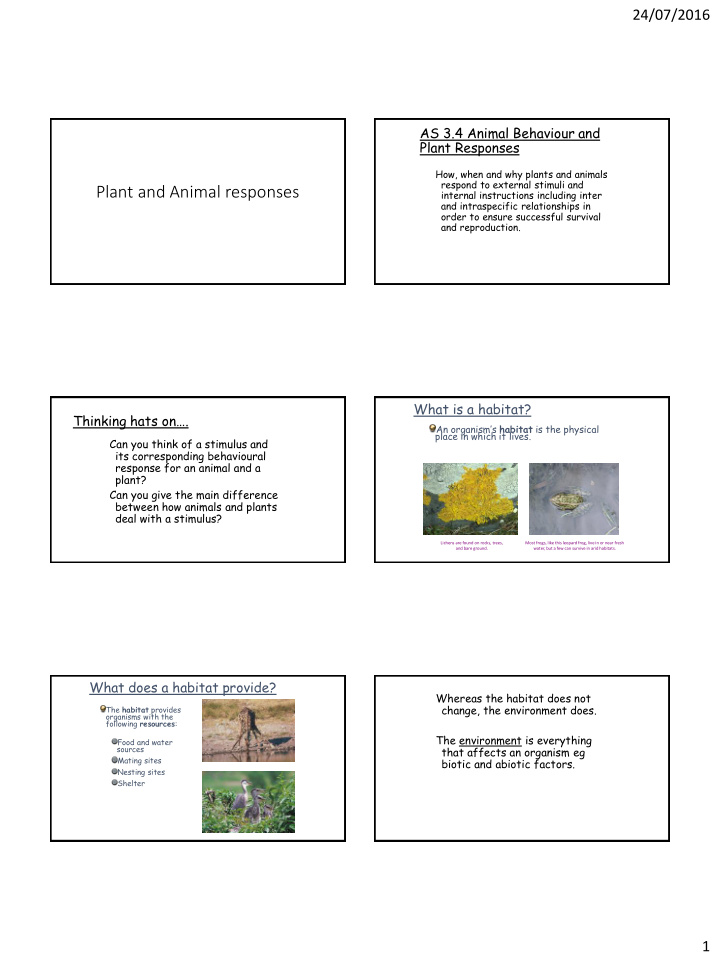 plant and animal responses