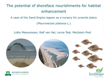 The potential of shoreface nourishments for habitat  enhancement  A case of the Sand Engine lagoon
