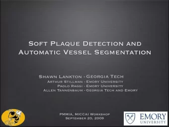 Soft Plaque Detection and  Automatic Vessel Segmentation  Georgia Tech  Shawn Lankton -  Arthur