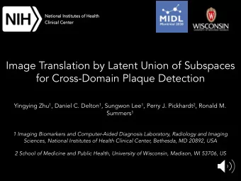 Image Translation by Latent Union of Subspaces  for Cross-Domain Plaque Detection Yingying Zhu 1 ,