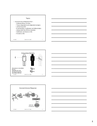 1  Humoral Immune Response  Bacteria  Th2  B Cell  Bacteria CD4 +  B Cell  Ag  Cytokines