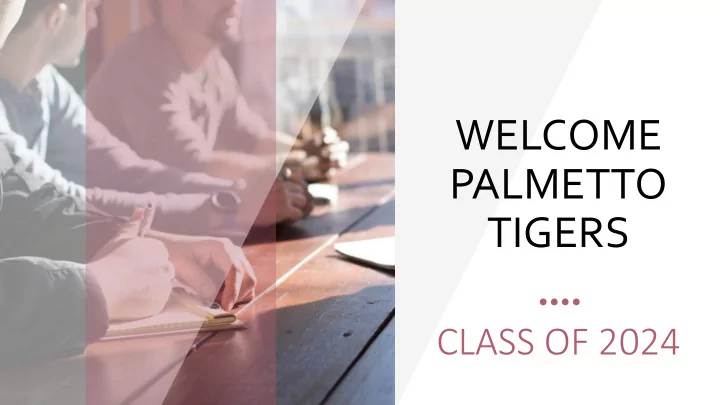 palmetto tigers