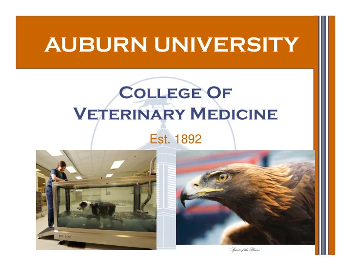 auburn university