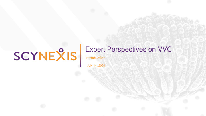 expert perspectives on vvc