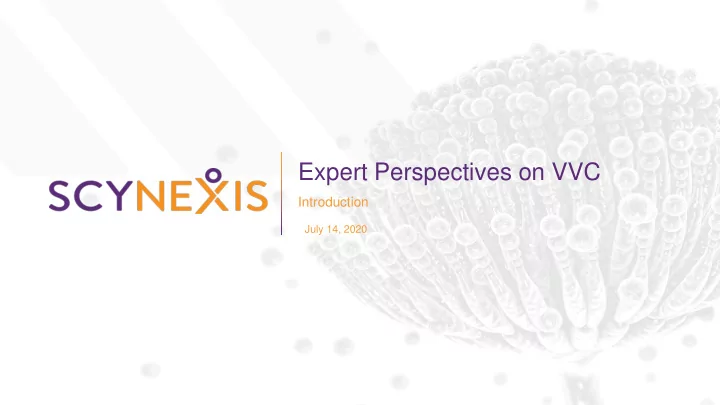 expert perspectives on vvc