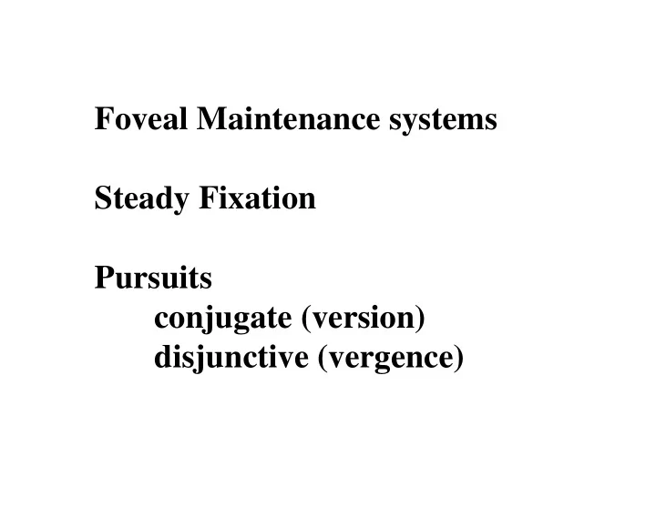 foveal maintenance systems steady fixation pursuits