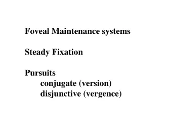 Foveal Maintenance systems  Steady Fixation  Pursuits  conjugate (version)  disjunctive (vergence)