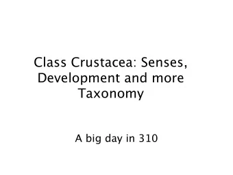 Class Crustacea: Senses,  Development and more Taxonomy A big day in 310 Crustacean Senses