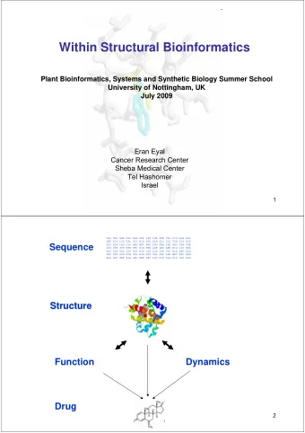 Within Structural Bioinformatics  Plant Bioinformatics, Systems and Synthetic Biology Summer School