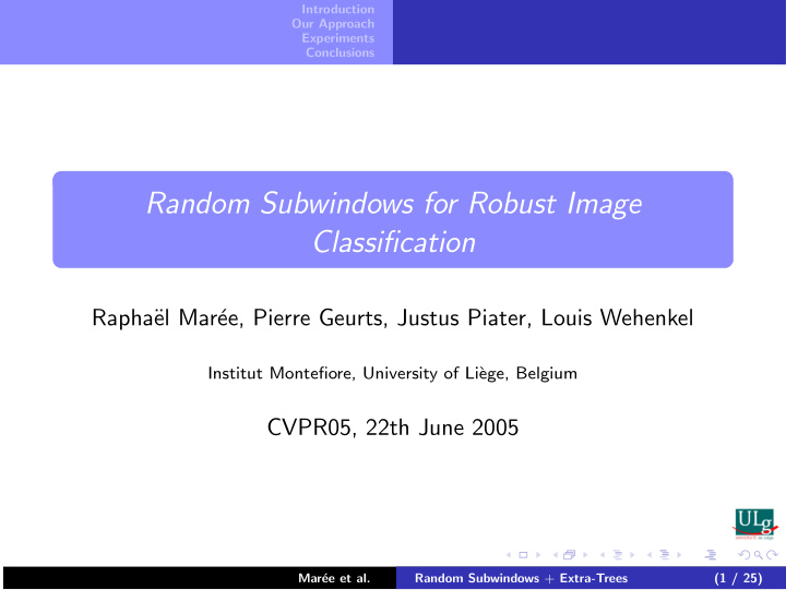 random subwindows for robust image classification