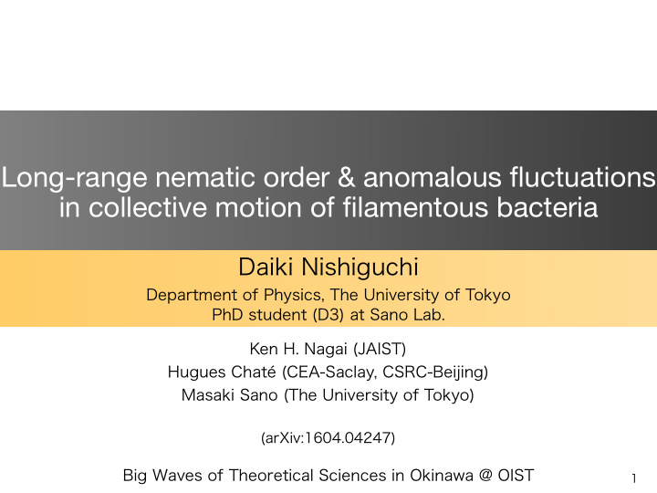 long range nematic order anomalous fluctuations in