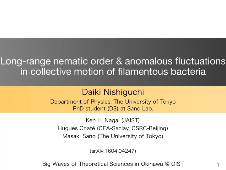 long range nematic order anomalous fluctuations in