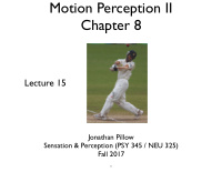 motion perception ii chapter 8