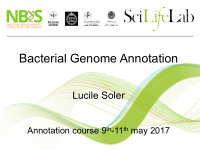 bacterial genome annotation