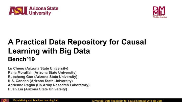 a practical data repository for causal learning with big