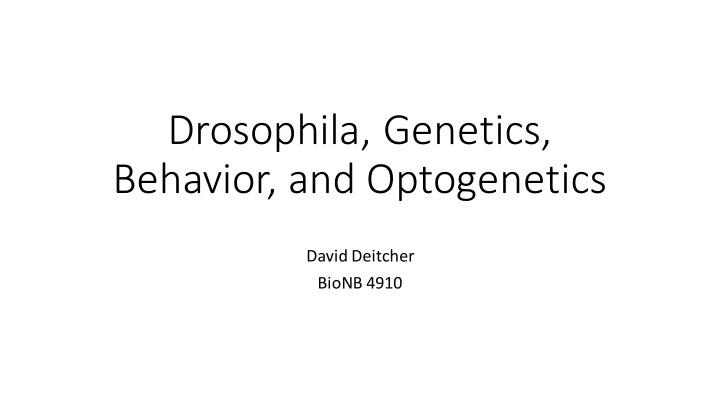 drosophila genetics behavior and optogenetics
