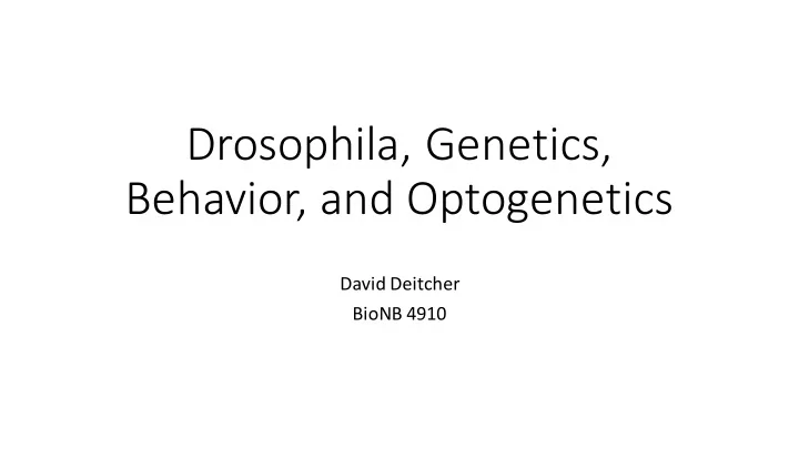 drosophila genetics behavior and optogenetics