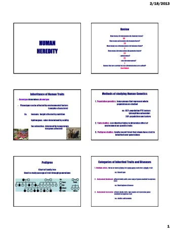 HERED  EDITY  ITY  How many chromosomes do gametes have?  23  23  -  autosomes?  22  22  -  sex