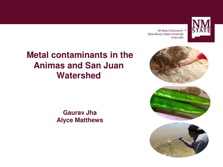 metal contaminants in the animas and san juan watershed