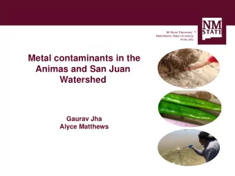 Metal contaminants in the  Animas and San Juan  Watershed  Gaurav Jha  Alyce Matthews  Historical