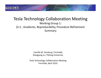 Tesla Technology Collaboration Meeting  Working Group 1:  =1 , Gradients, Reproducibility,