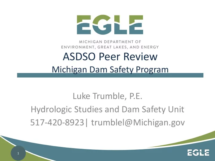 asdso peer review