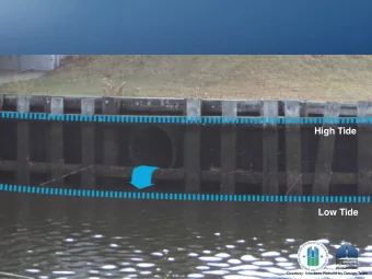 Low Tide  Courtesy: Interboro Rebuild by Design Team  Courtesy: Interboro Rebuild by Design Team