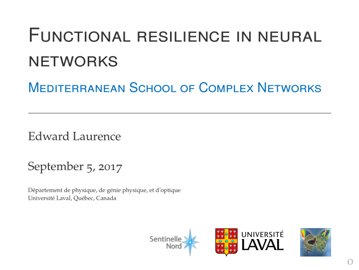 functional resilience in neural networks